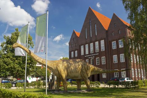 Einen Blick in die Urzeit gibt es im Staatlichen Naturhistischen Museum. Vor der Tür begrüßt bereits ein Dinosaurier die Gäste. 